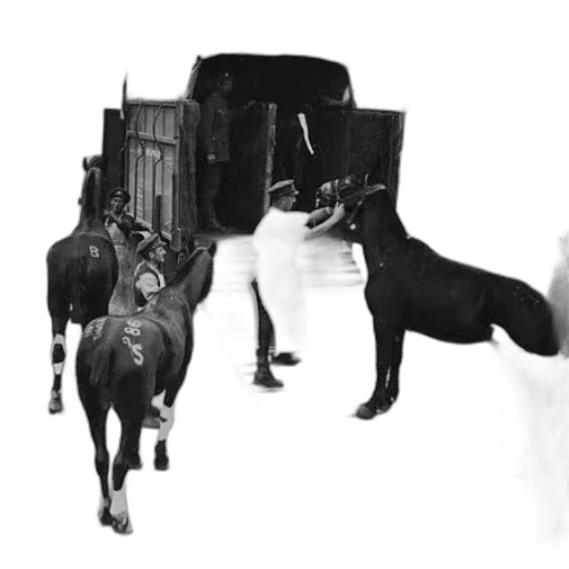 animal, staff, furniture, car transparent PNG cut-out
