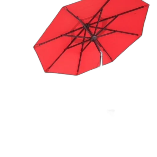umbrella, hat, flower, staff transparent PNG cut-out