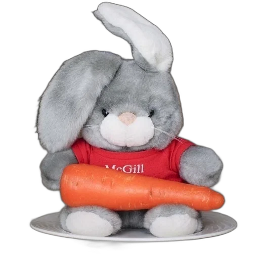 food, animal, staff, stuffed transparent PNG cut-out