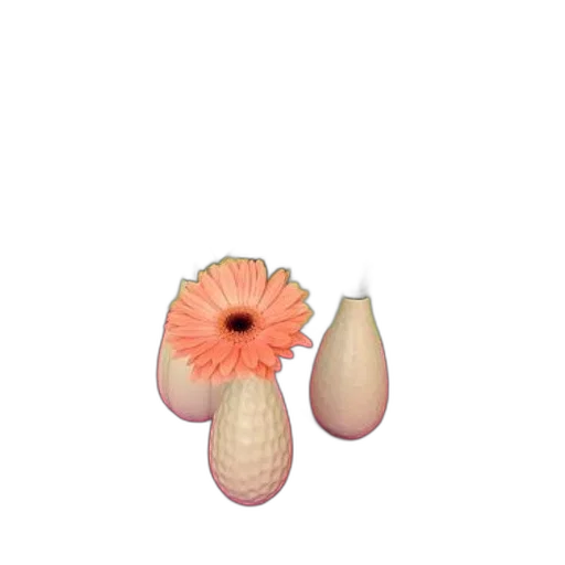 flower, jewelry, hat, furniture transparent PNG cut-out