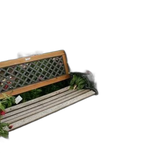 furniture, 3d render, serene, garden transparent PNG cut-out