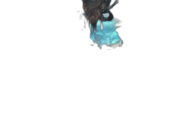 creature, hair, crown, animal transparent PNG cut-out