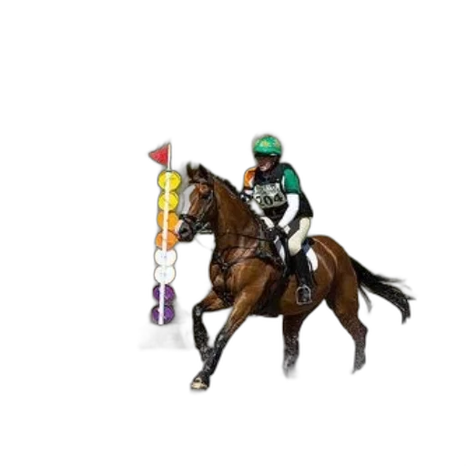 rider, green, helmet, white transparent PNG cut-out