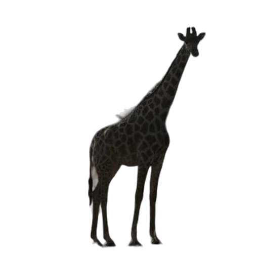 animal, creature, staff, crown transparent PNG cut-out