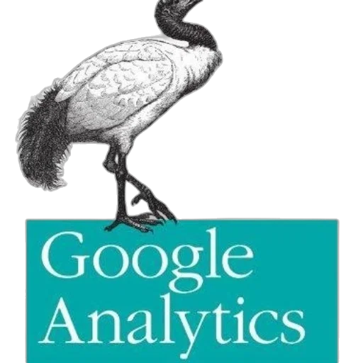 google, analytics, logo, bird transparent PNG cut-out