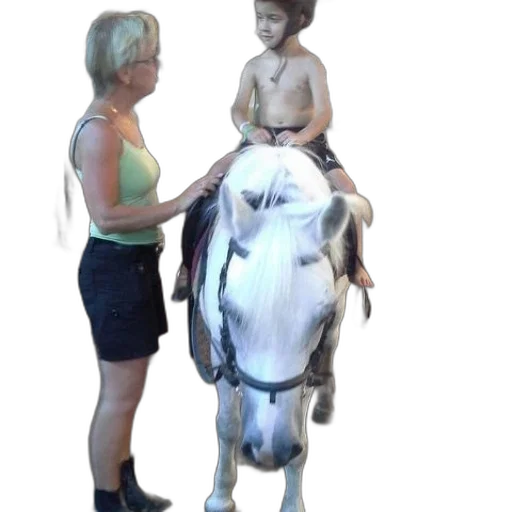 animal, staff, 3d render, photorealistic transparent PNG cut-out