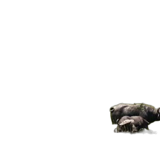 animal, creature, dragon, weapon transparent PNG cut-out