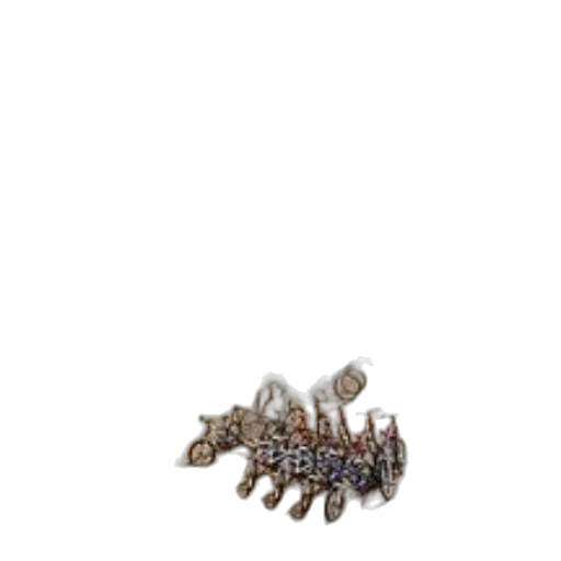 jewelry, crown, hair, shoes transparent PNG cut-out