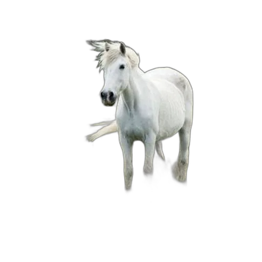animal, creature, dragon, staff transparent PNG cut-out