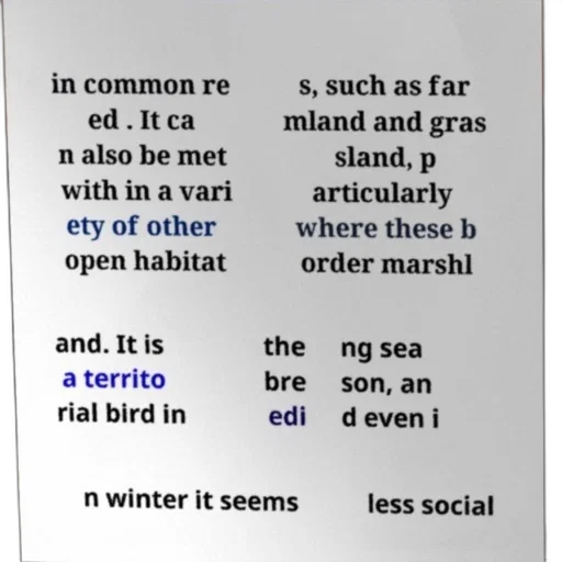 text-based, description, bird, habitat transparent PNG cut-out