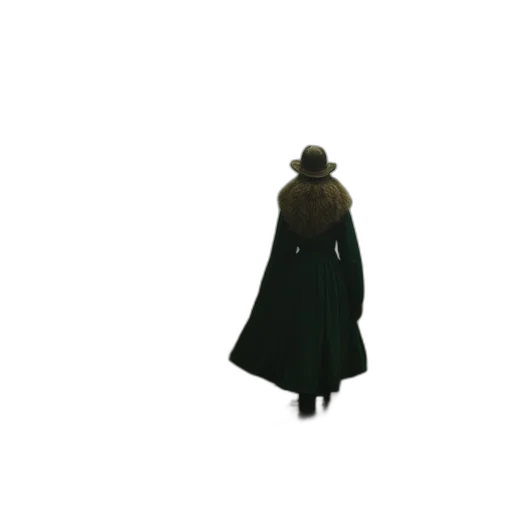hat, jacket, staff, umbrella transparent PNG cut-out