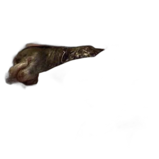 animal, hair, staff, creature transparent PNG cut-out