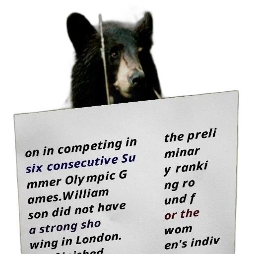 black, bear, shown, background transparent PNG cut-out