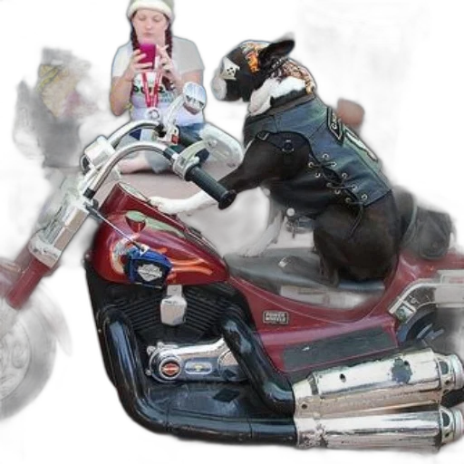 photorealistic, 3d render, concept art, dog transparent PNG cut-out