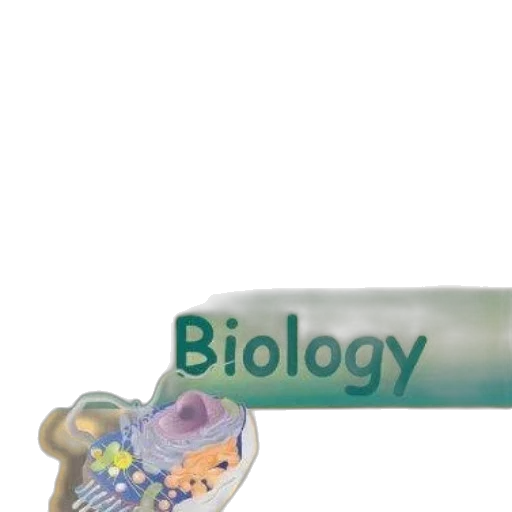 bottle, jewelry, book, cover transparent PNG cut-out