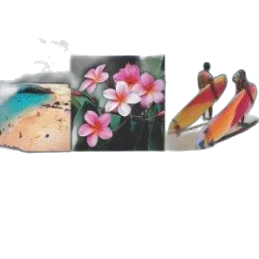 shoes, flower, jewelry, photorealistic transparent PNG cut-out