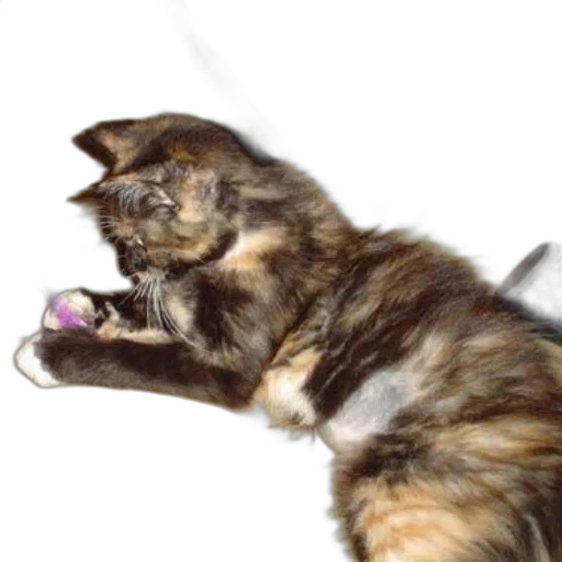 staff, creature, animal, weapon transparent PNG cut-out