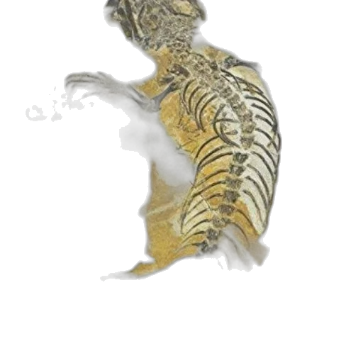 dragon, animal, creature, jewelry transparent PNG cut-out
