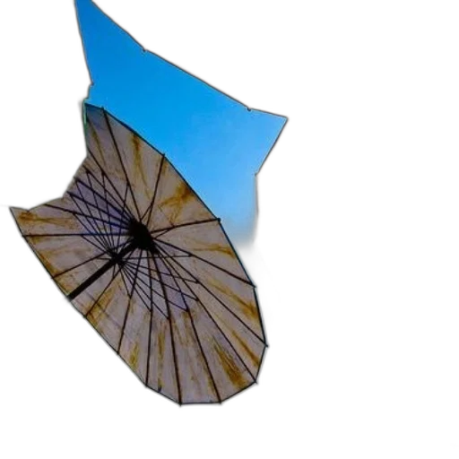 umbrella, dress, hat, crown transparent PNG cut-out