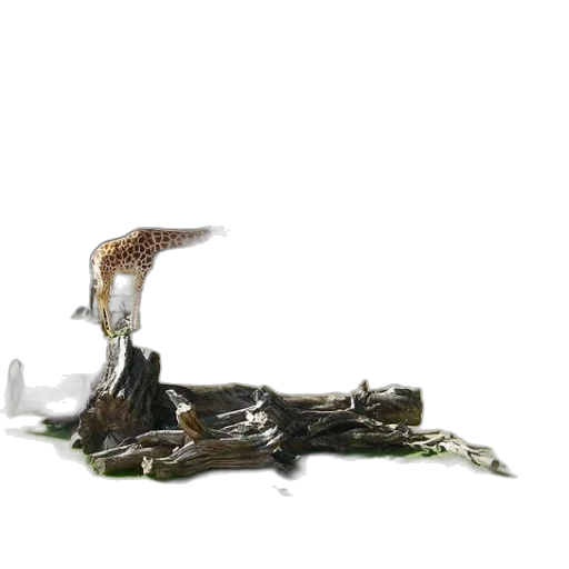 dragon, staff, animal, weapon transparent PNG cut-out