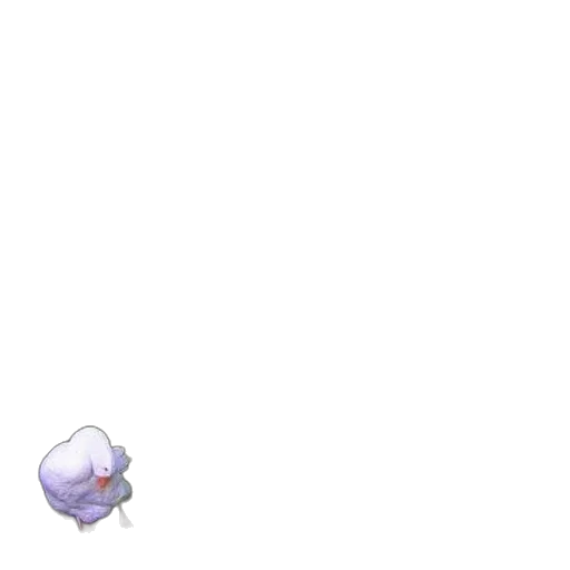 creature, animal, hat, weapon transparent PNG cut-out