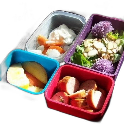 food, bento, box, filled transparent PNG cut-out