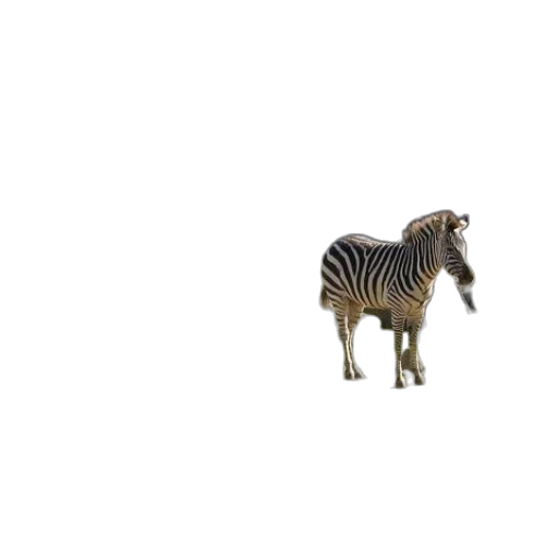 animal, creature, furniture, robot transparent PNG cut-out