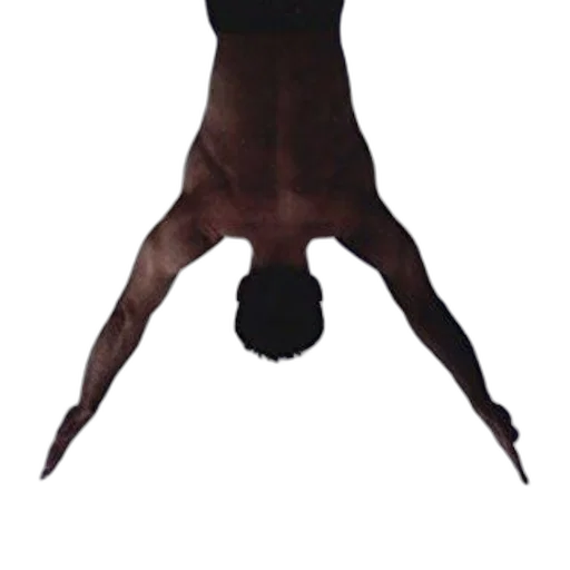 staff, creature, hair, animal transparent PNG cut-out