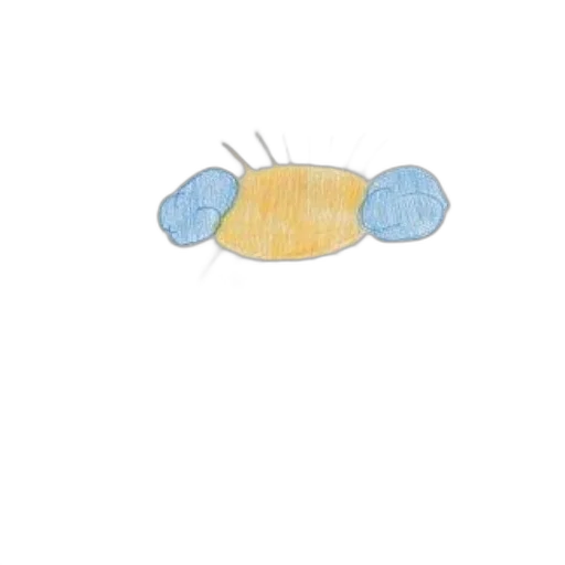 hat, food, animal, hair transparent PNG cut-out