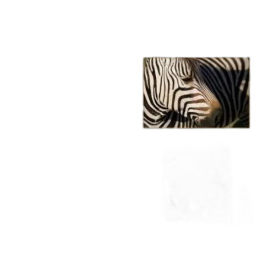 animal, creature, hair, face transparent PNG cut-out