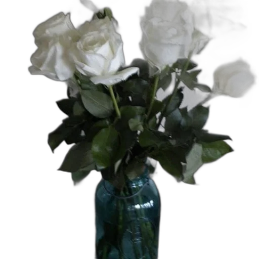 flower, bottle, crown, photorealistic transparent PNG cut-out