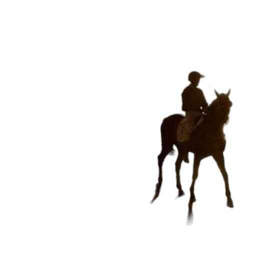 hat, animal, staff, crown transparent PNG cut-out