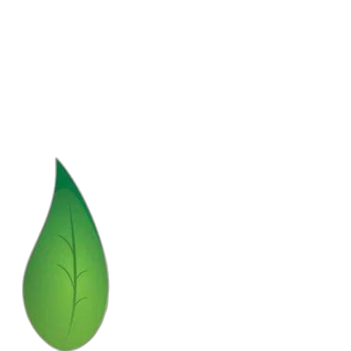tree, umbrella, bottle, crown transparent PNG cut-out