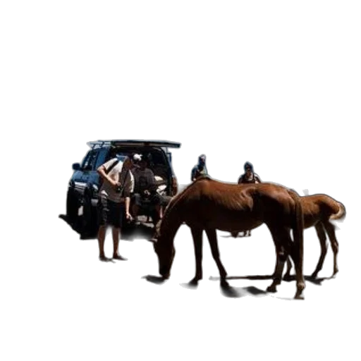 car, animal, concept art, photorealistic transparent PNG cut-out