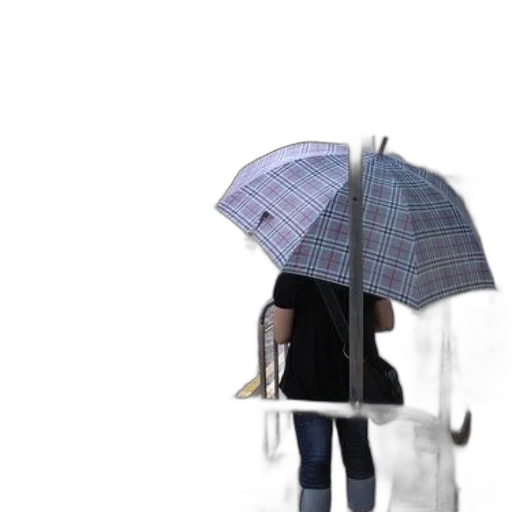 umbrella, jacket, staff, hat transparent PNG cut-out