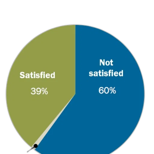 pie, chart, showing, satisfaction transparent PNG cut-out