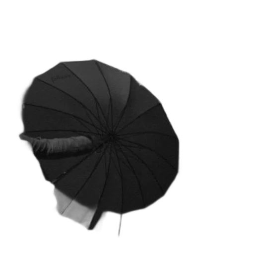umbrella, hat, flower, crown transparent PNG cut-out