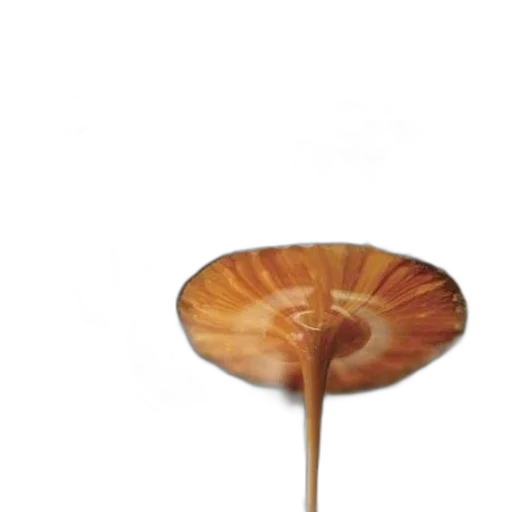 flower, umbrella, staff, hat transparent PNG cut-out