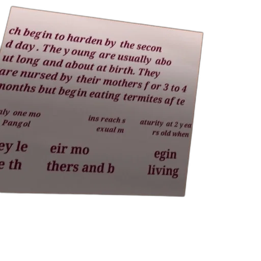 text-based, image, discussing, hardening transparent PNG cut-out
