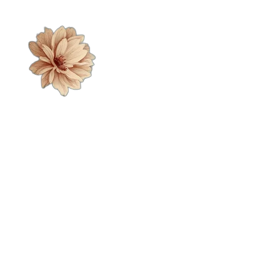 flower, jewelry, crown, umbrella transparent PNG cut-out