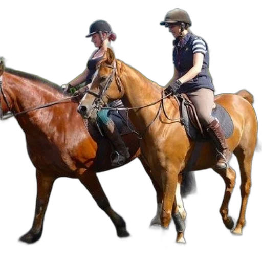 hat, staff, photorealistic, concept art transparent PNG cut-out