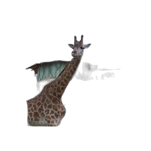 animal, creature, dragon, staff transparent PNG cut-out