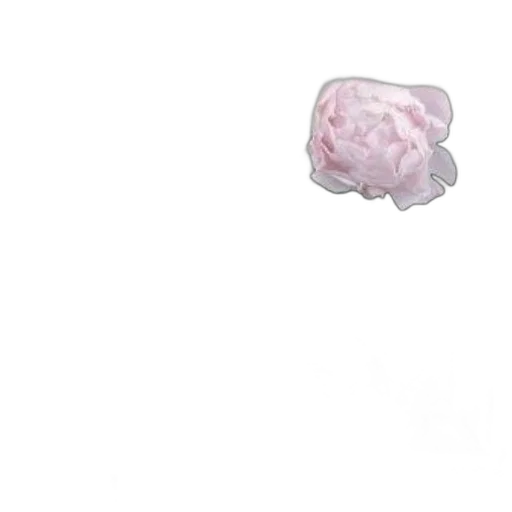 flower, crown, hat, food transparent PNG cut-out
