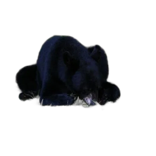 hat, animal, mask, staff transparent PNG cut-out