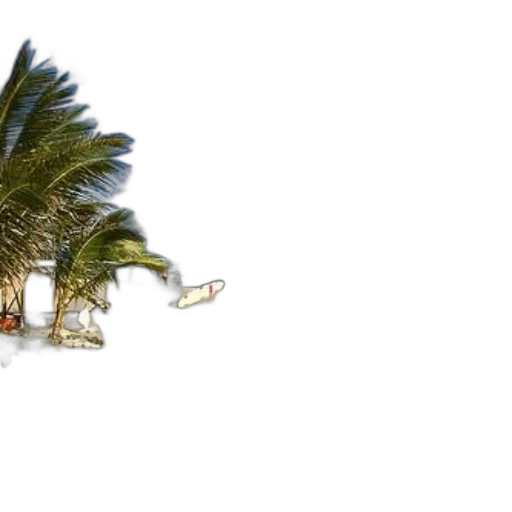 umbrella, weapon, tree, shoes transparent PNG cut-out