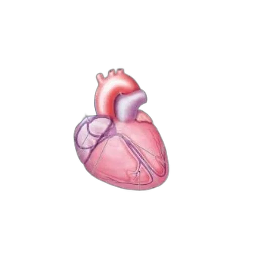 pixel art, concept art, 3d render, diagram transparent PNG cut-out