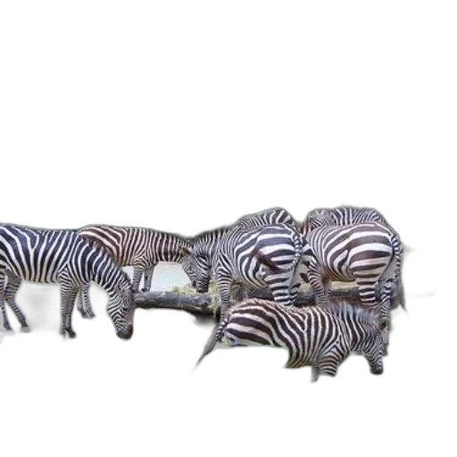 animal, jewelry, furniture, staff transparent PNG cut-out