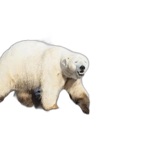 animal, creature, concept art, 3d render transparent PNG cut-out