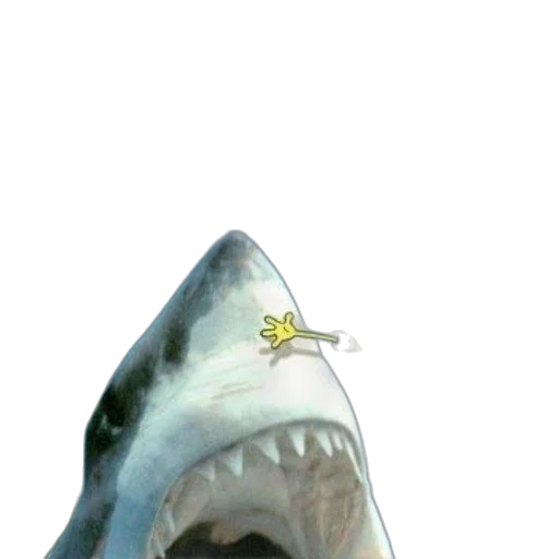 staff, animal, creature, jewelry transparent PNG cut-out