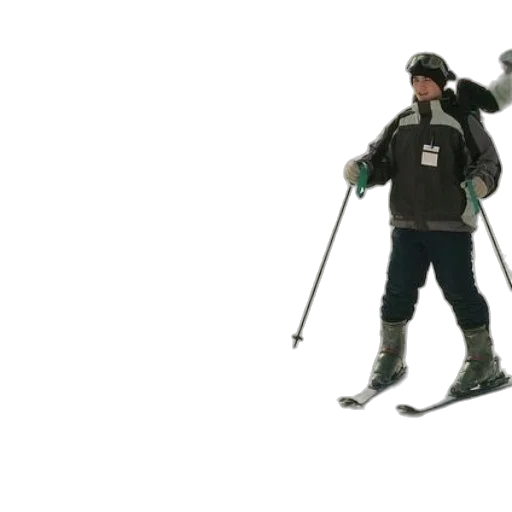 staff, weapon, robot, animal transparent PNG cut-out